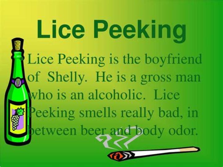 What really happened to Lice Peeking in flush?