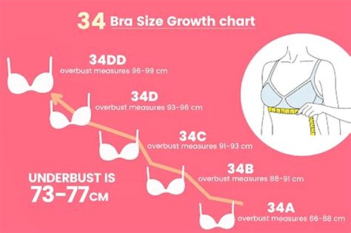 What size is a 34 bust?