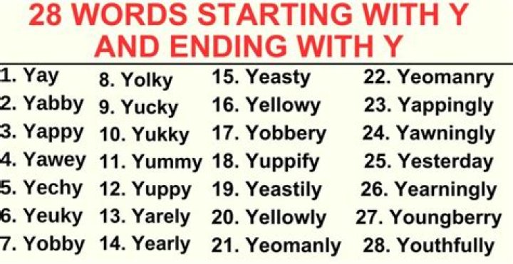 What starts with y and ends with Y?