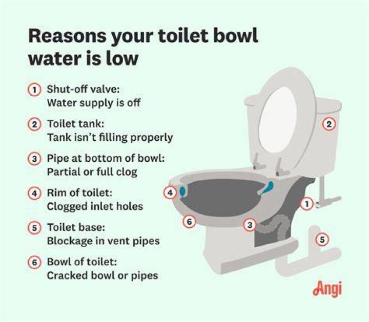 What to do if there is no water in the toilet bowl?