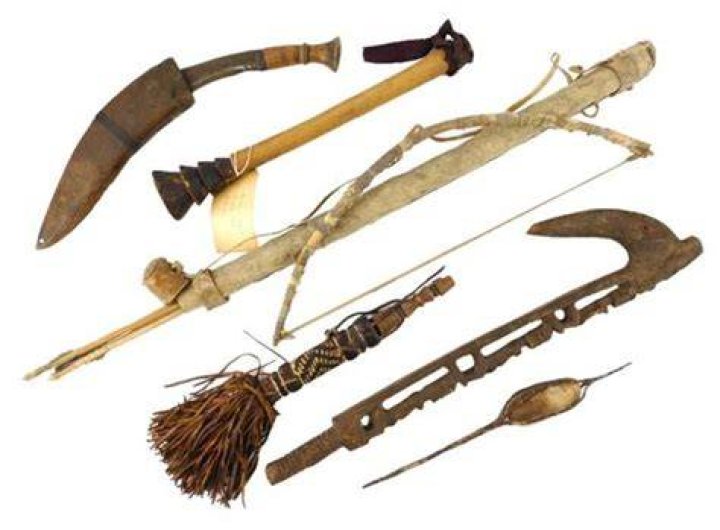 What tools did the Cree use?