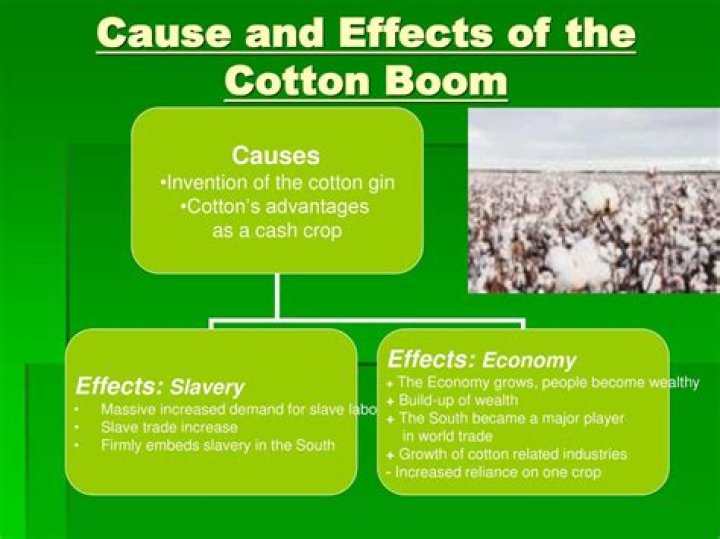 What were the negative effects of the cotton boom?