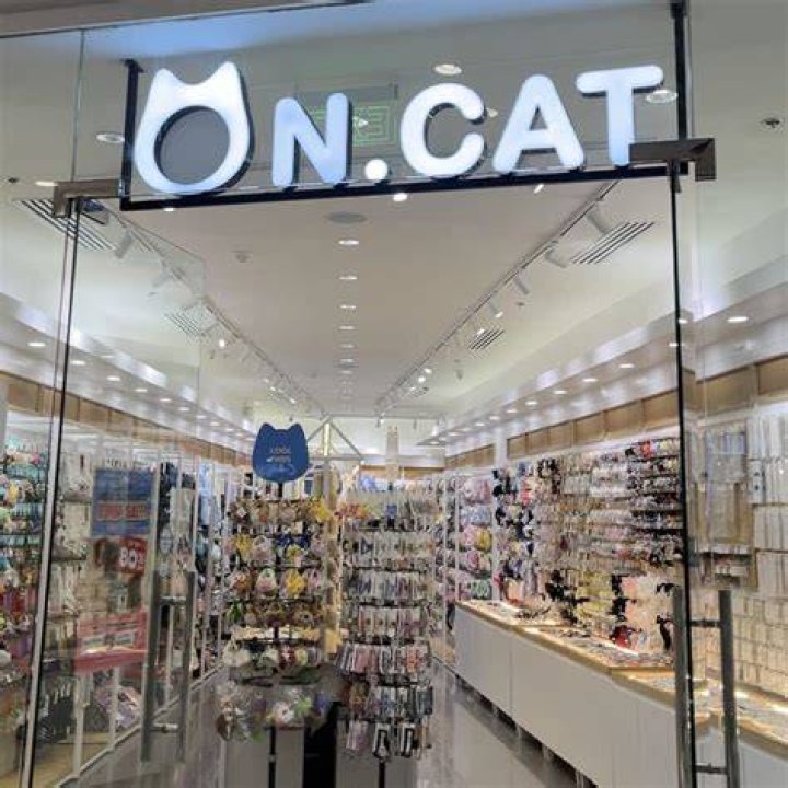 Whats a store that starts with N?