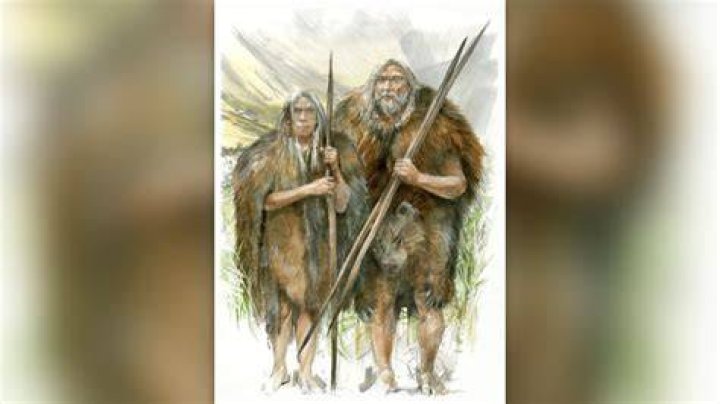 When did humans begin wearing clothes?