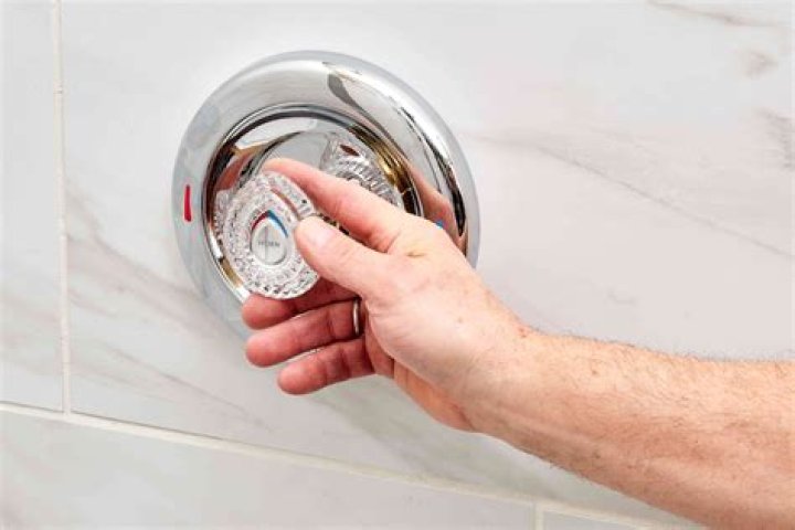 When did Moen one handle shower valves come out?