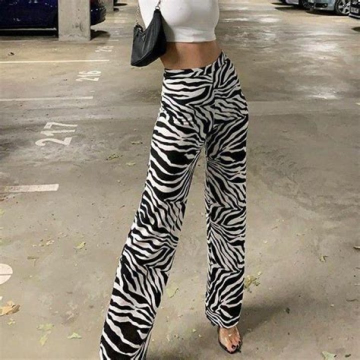 When did zebra pants come out?
