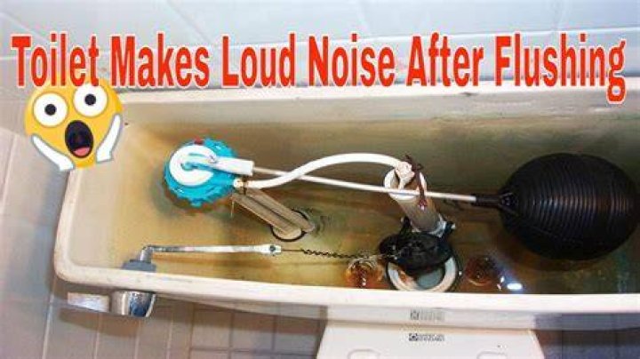 When the water is refilling in the toilet it makes a loud high pitch noise?