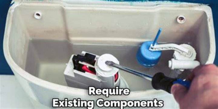 When toilet flushes on its own?