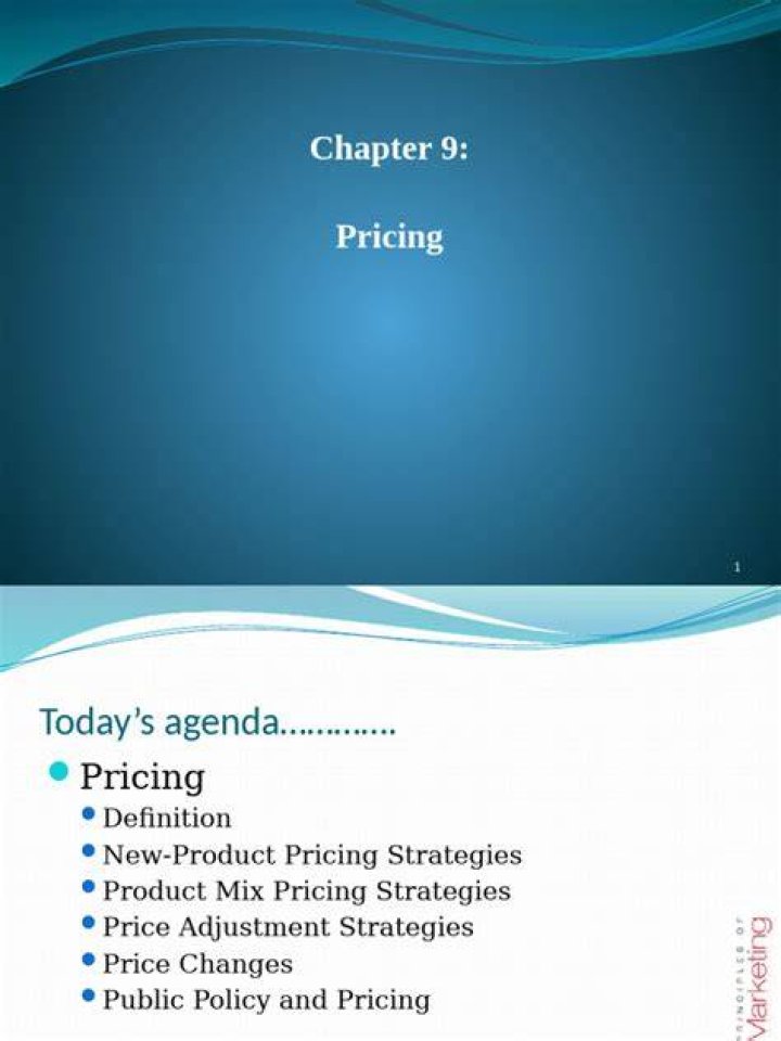 When was the pricing policy for new products published?