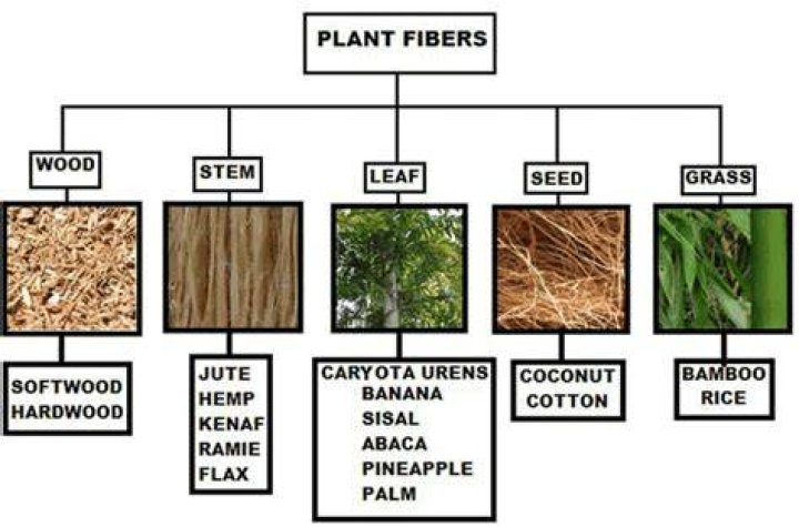 Where are natural plant fibers produced from?