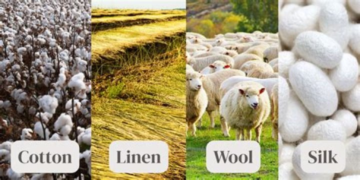 Where do natural fibers come from?