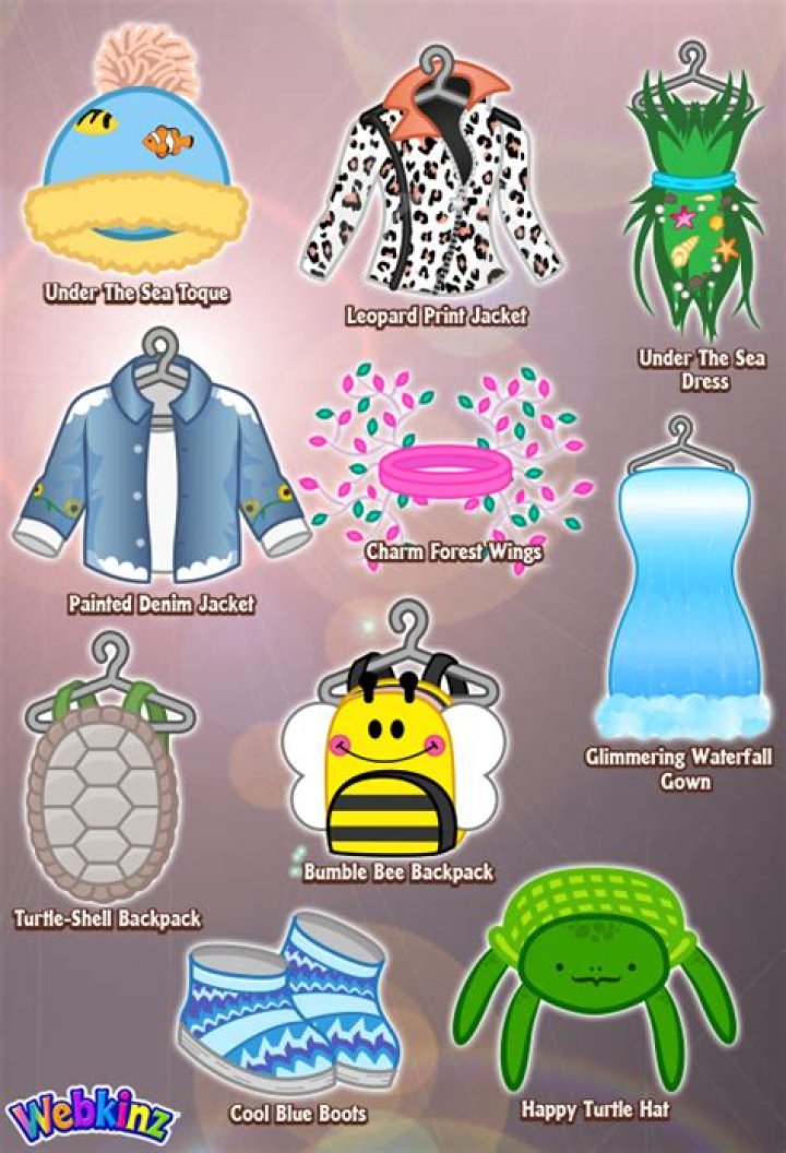 Where do you buy clothes on Webkinz?