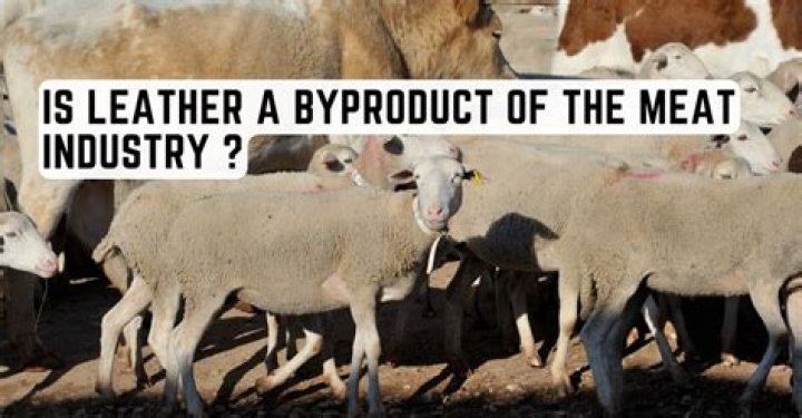 Where does leather come from in the meat industry?