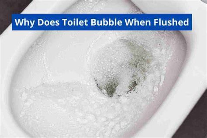 Where does the bubble come from when you flush the toilet?