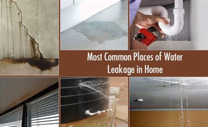 Where is the source of a water leak in my house?