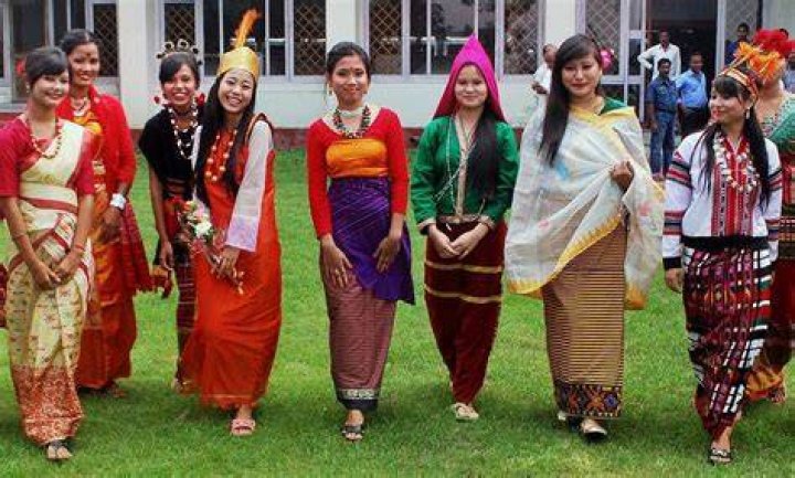 Which dress is famous in Goa?