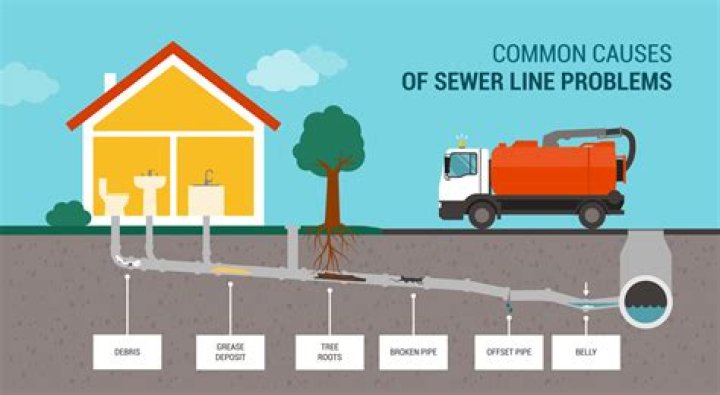 Who is responsible for a clogged sewer line?