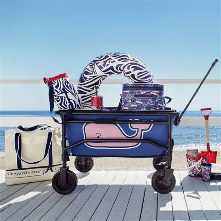 Who is Vineyard Vines target market?