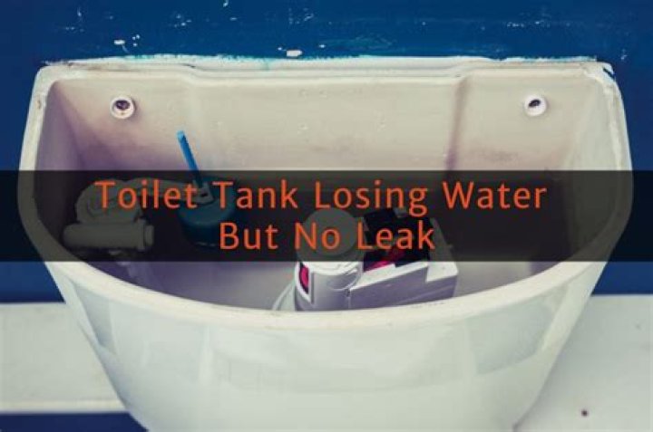 Why am I losing water in my toilet tank?