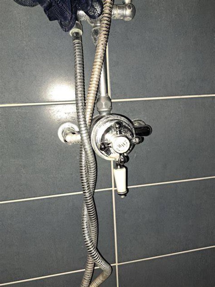 Why did my shower just stop working?