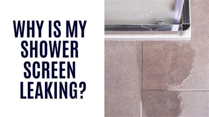 Why did my shower start leaking?