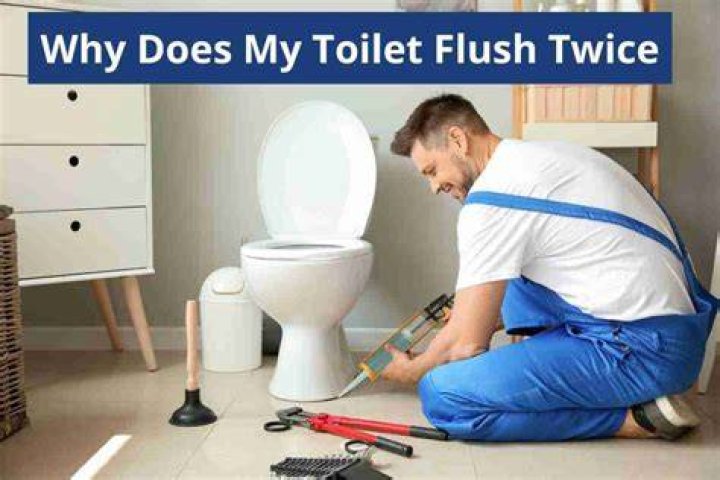Why do I have to double flush my toilet?