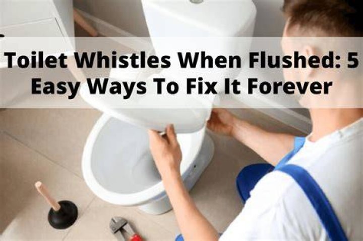 Why do my pipes click when I flush the toilet?
