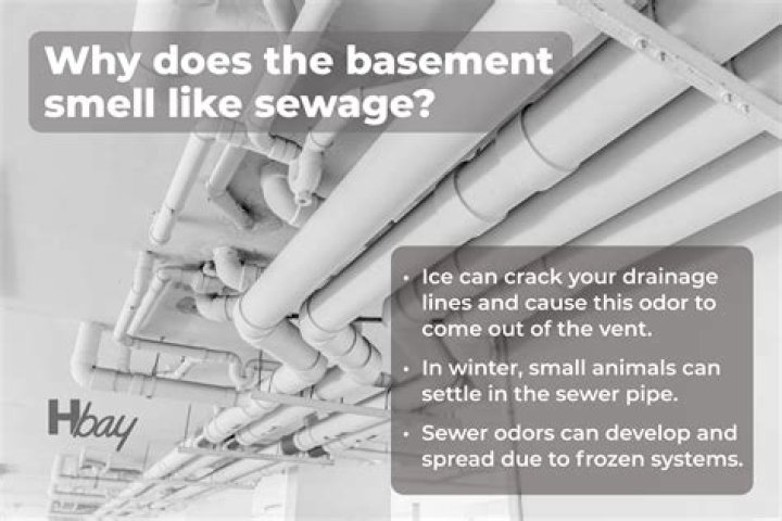 Why does my basement drain smell like sewer?