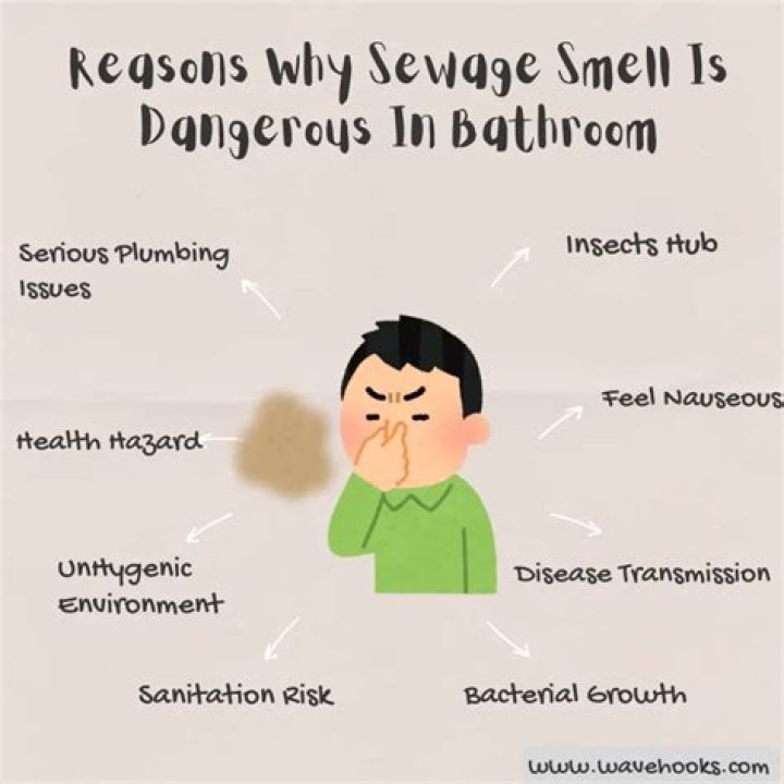 Why does my bathroom sink smell like sewer?