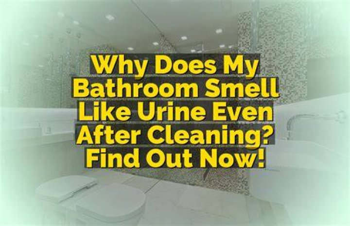 Why does my bathroom smell even after I clean it?