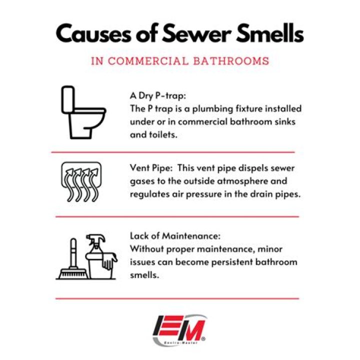 Why does my bathroom smell like sewage after a shower?