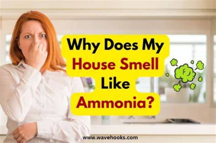 Why does my door smell?