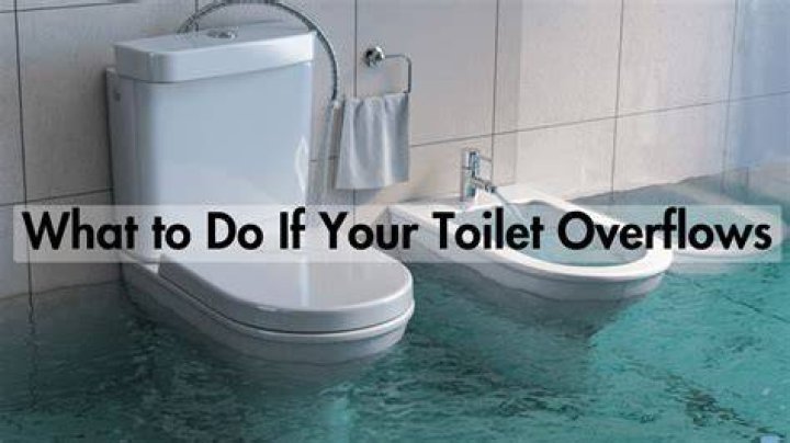 Why does my downstairs toilet overflow when I flush?