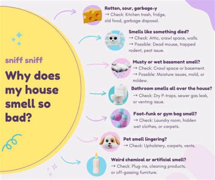 Why does my house smell in the morning?