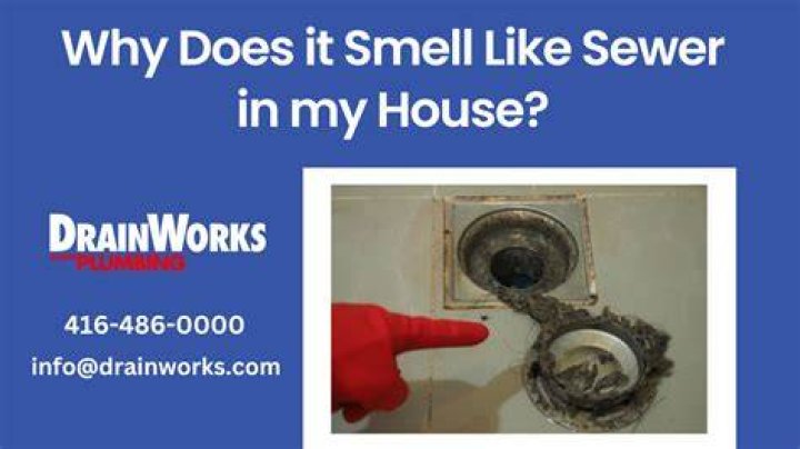 Why does my house smell like sewage after I shower?