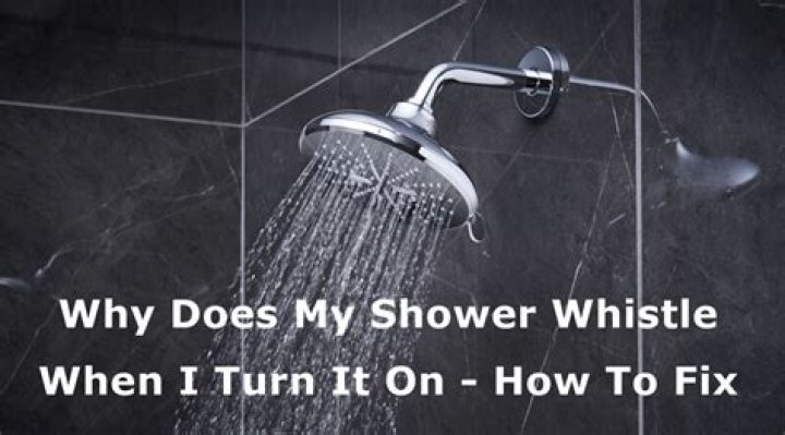 Why does my shower make noise when I turn it on?
