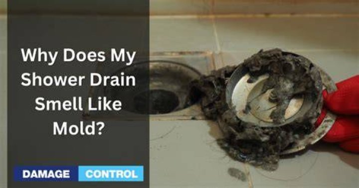 Why does my shower smell like sewer?