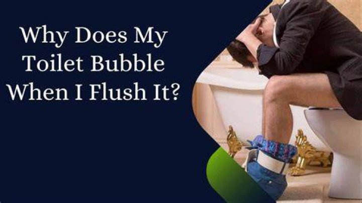Why does my toilet bubble up when I flush it?