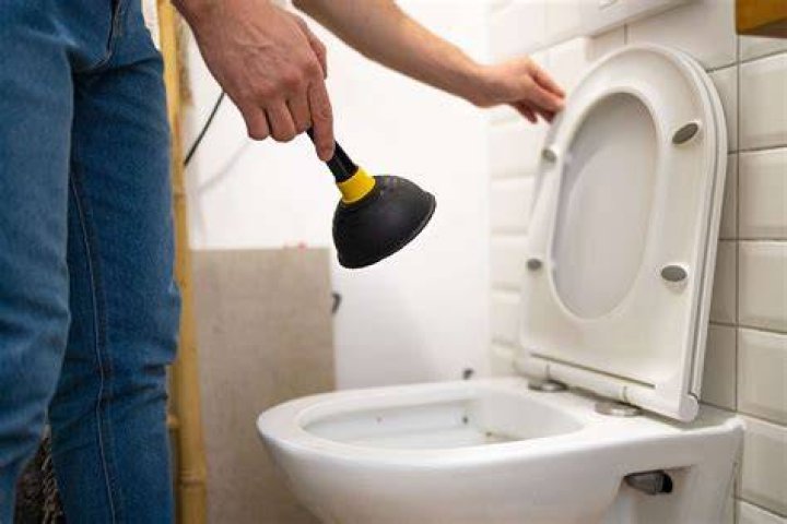 Why does my toilet fill up before it flushes?