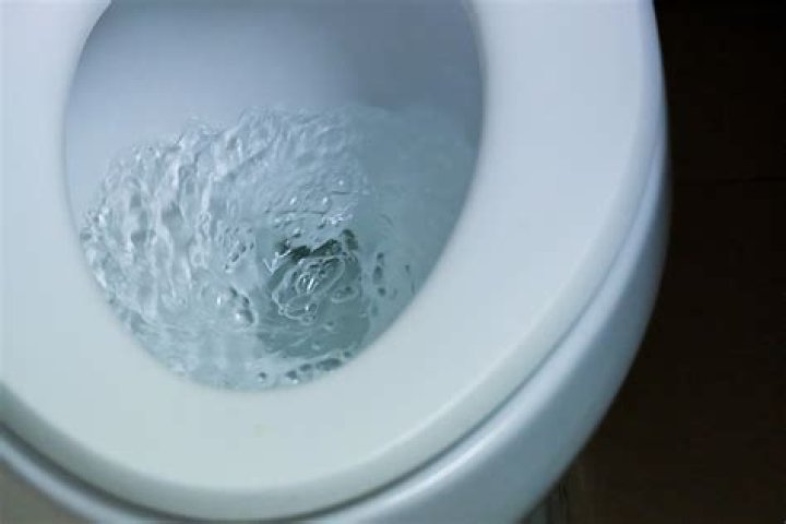 Why does my toilet swirl but not flush?