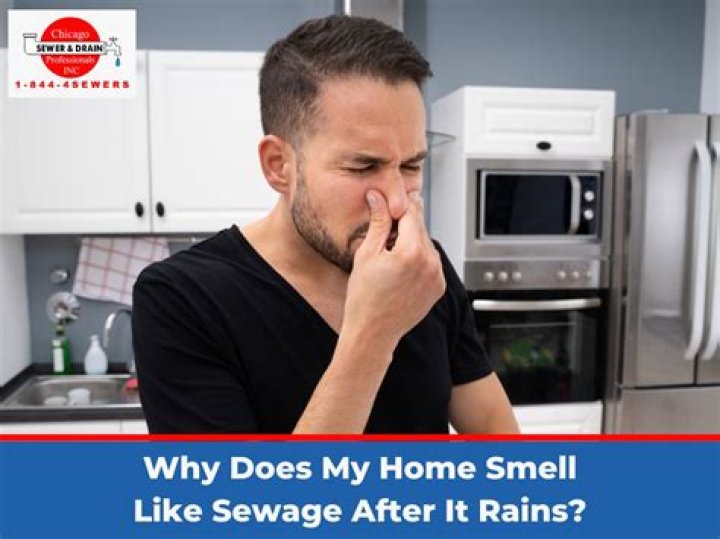 Why does my utility room smell like sewage?
