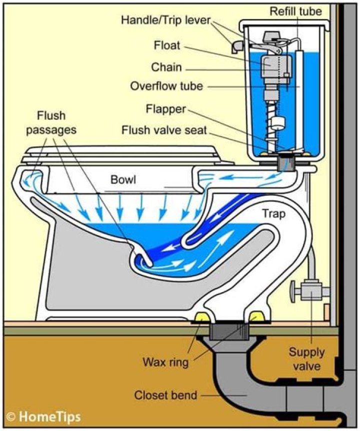 Why does the water in my toilet bowl drain out?