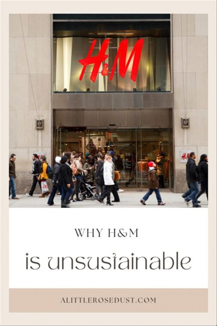 Why H and M is bad?