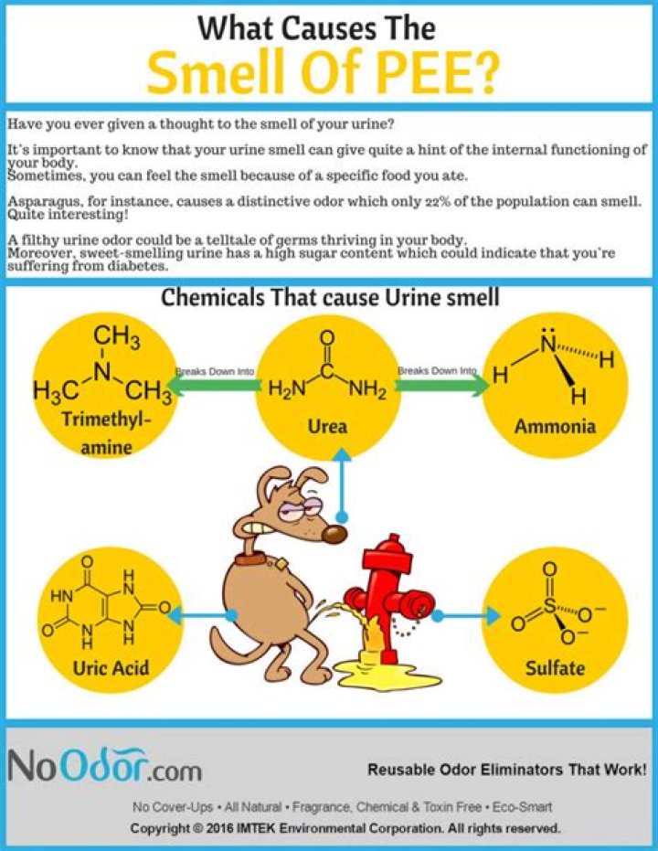Why have I been smelling a weird smell lately?