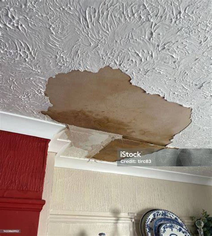 Why is my living room ceiling leaking?