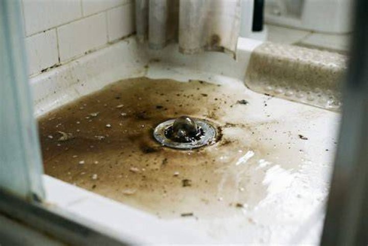 Why is my shower backing up with sewage?