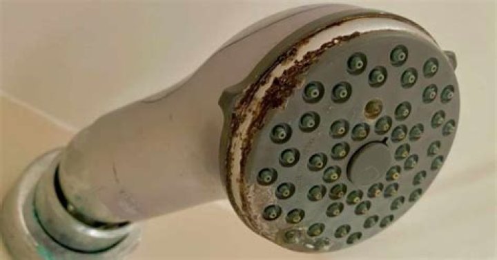 Why is my shower head sputtering?