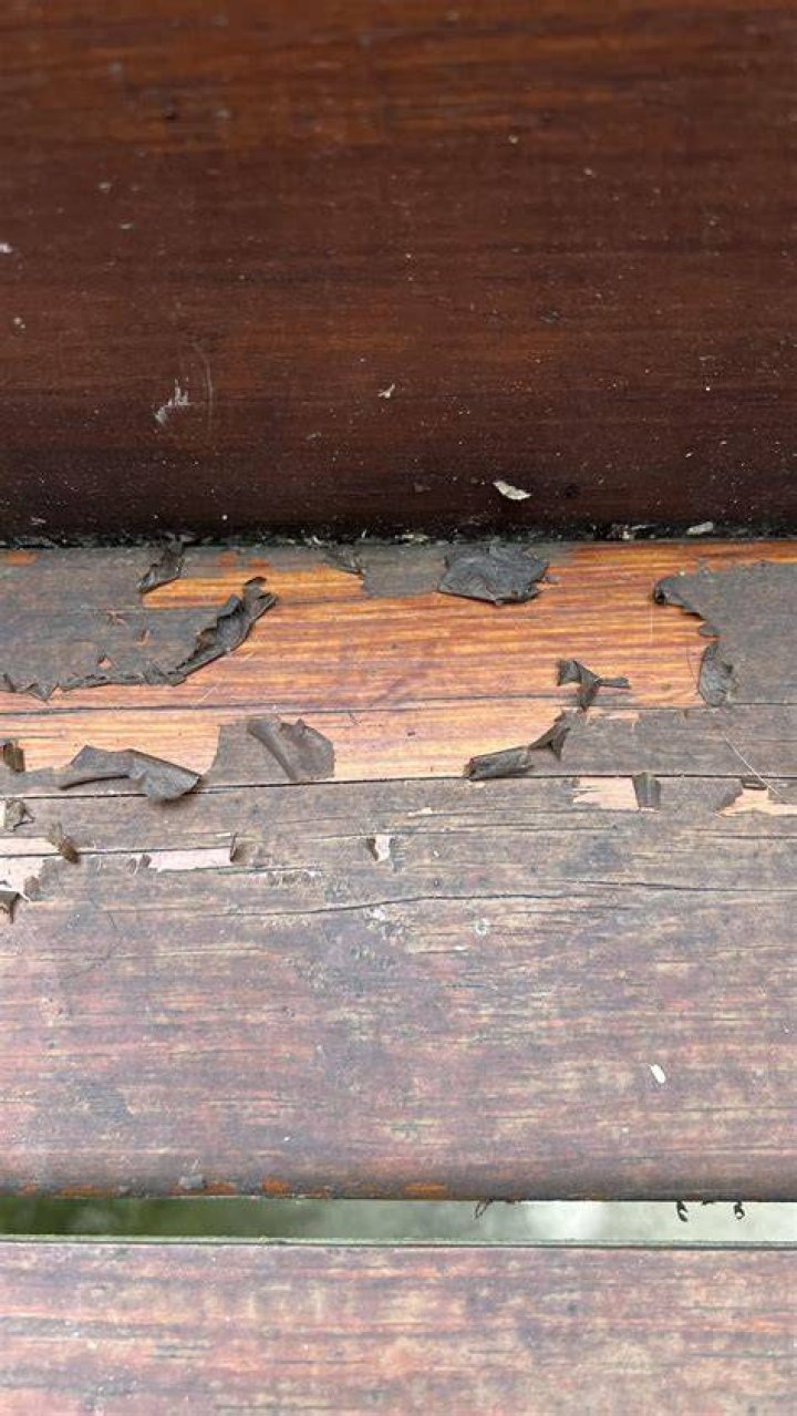 Why is my stain peeling?