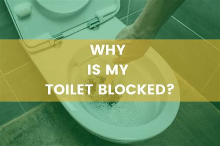 Why is my toilet blocked?