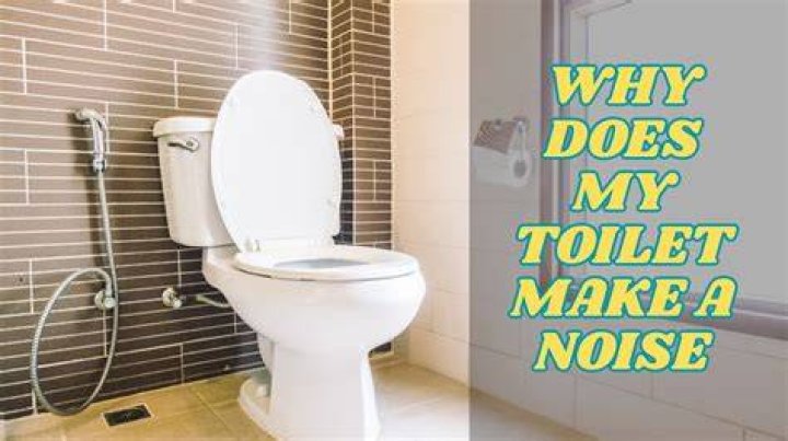Why is my toilet constantly making noise?